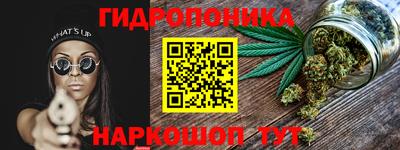 прущие грибы Нальчик