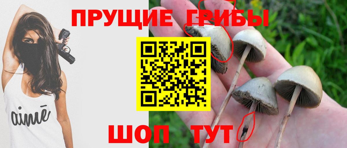 Псилоцибиновые грибы MAGIC MUSHROOMS Ростов-на-Дону